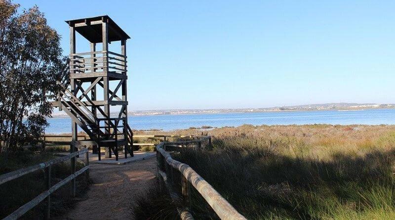 Apartamento Vistas La Mata Playa Εξωτερικό φωτογραφία